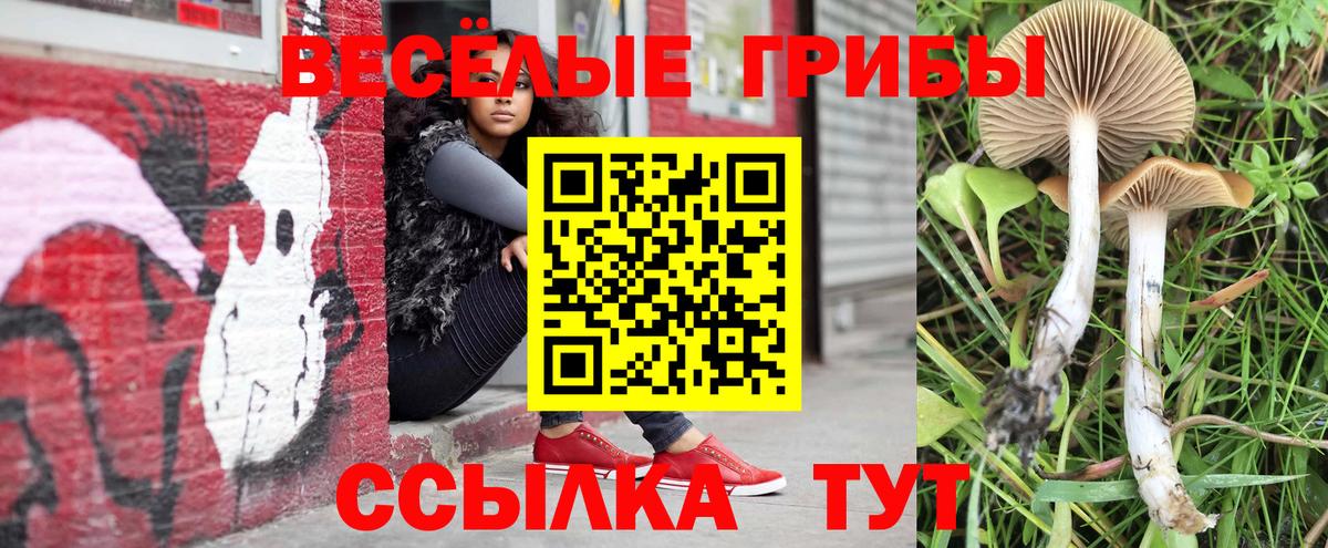 Галлюциногенные грибы MAGIC MUSHROOMS Новоуральск